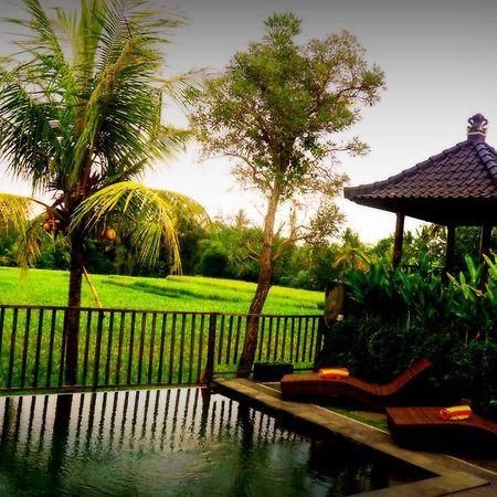 Villa D'Bisma Ubud Eksteriør billede
