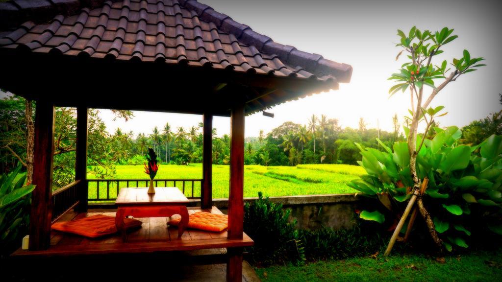 Villa D'Bisma Ubud Eksteriør billede